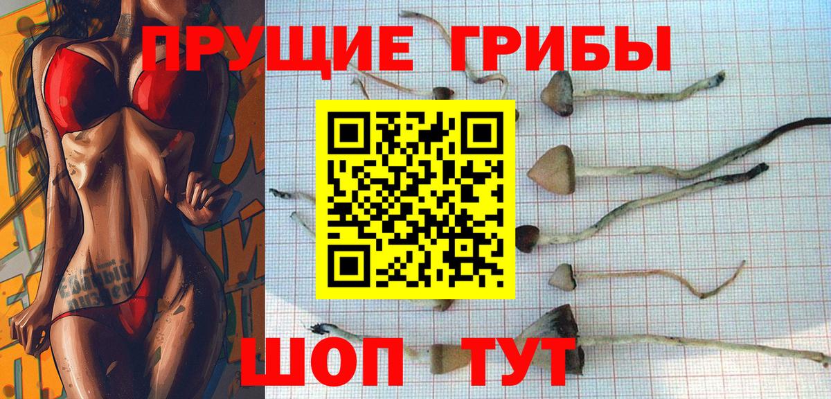 Глазов  A-PVP СОЛЬ   Мефедрон кристаллы  МЕТАМФЕТАМИН  ГАШИШ  Конопля  КОКАИН  Вход с VPN  Героин  Канабис 