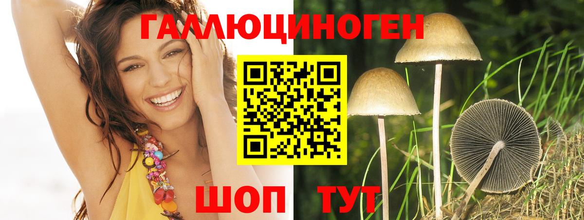 Псилоцибиновые грибы MAGIC MUSHROOMS  где купить наркоту  Глазов  Вход с VPN 